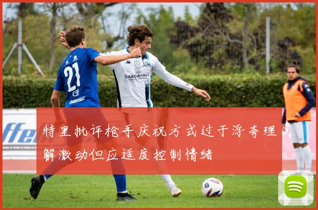 特里批评枪手庆祝方式过于浮夸理解激动但应适度控制情绪